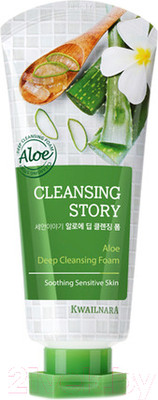 Пенка для умывания Welcos Cleansing Story Aloe (120г)