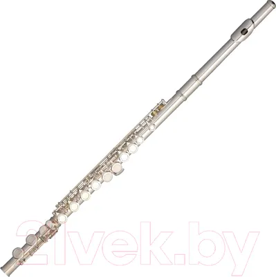 Флейта Stagg WS-FL211S