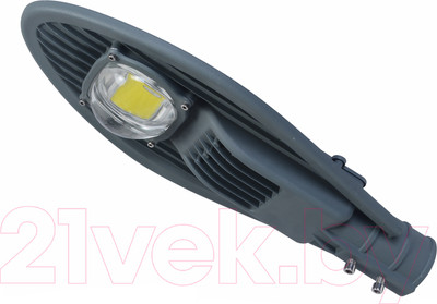 Светильник уличный Ватра BC012C-50-6K