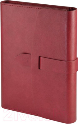 Ежедневник Bruno Visconti Senate / 3-213.02 (272л, бордовый)