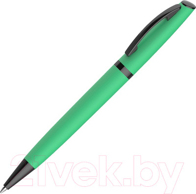 Ручка шариковая имиджевая Pierre Cardin Actuel / PCS10276BP