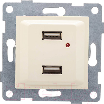 Розетка Gusi Electric Ugra С11USB2-003 (бежевый)