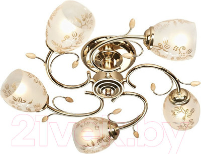 Люстра Velante 762 762-307-05