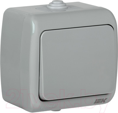 Выключатель IEK EVA10-K03-10-54