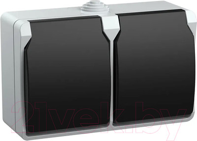 Розетка IEK Форс ERS22-K03-16-54-DC