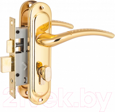 Замок врезной Стандарт 132/50B GP (латунь)