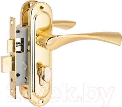 Замок врезной Стандарт 103/50B GP (латунь)