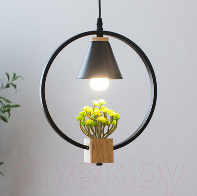 Потолочный светильник Home Light Астерия A042-2-В (черный)