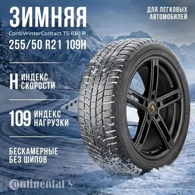 Зимняя шина Continental ContiWinterContact TS 830 P 255/50R21 109H ContiSeal BMW