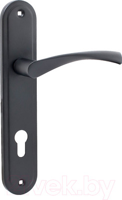 Ручка дверная Аллюр 103-1 85мм BL (черный)