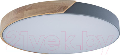 Потолочный светильник Loftit Axel 10004/36 Grey