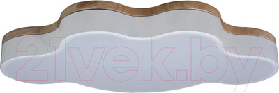 Потолочный светильник Loftit Axel 10005/36 (White)