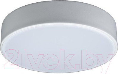 Потолочный светильник Loftit Axel 10002/12 (белый)