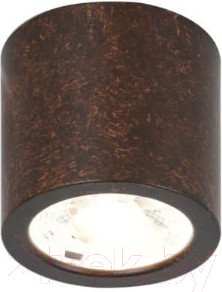 Точечный светильник FAVOURITE Deorsum 2809-1C