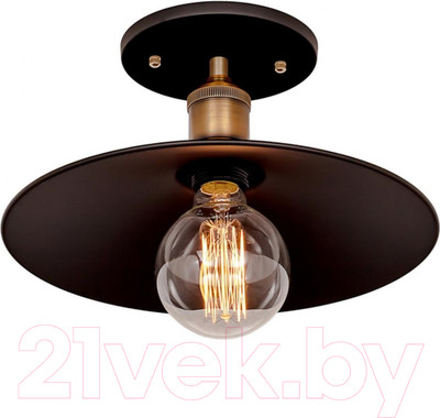 Потолочный светильник Loftit LOFT3101C