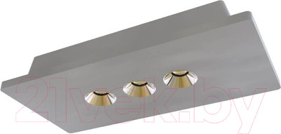 Комплект точечных светильников Loftit Architect OL1072-GH/3