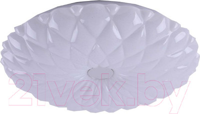 Потолочный светильник Camelion LBS-1005 / 13389