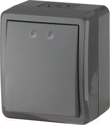 Выключатель ЭРА Эксперт 11-1401-03 / Б0020670 (серый)