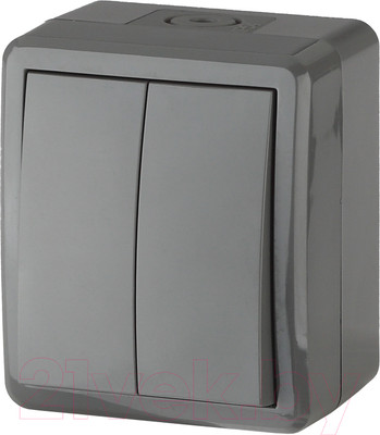 Выключатель ЭРА Эксперт 11-1404-03 / Б0020676 (серый)