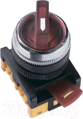 Переключатель IEK ANС-22-2 BSW10-ANC-2-K06