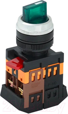 Переключатель IEK ANСLR-22 BSW10-ANCLR-3-K06