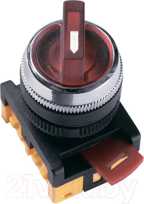 Переключатель IEK ANСLR-22 BSW10-ANCLR-3-K04