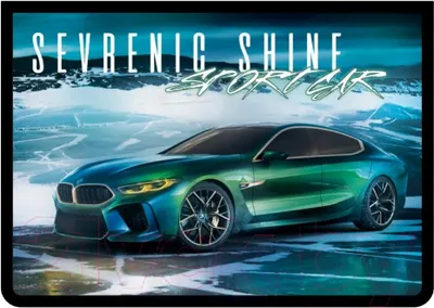 Папка для тетрадей Пчелка Car's Shine / ПМ-А4-29