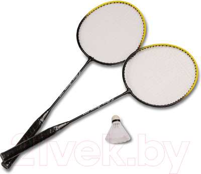 Набор для бадминтона Teloon 021 TL