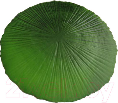 Плейсмат MONAMI TL2-308