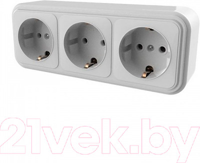 Розетка Элект RA16-365-БЖ