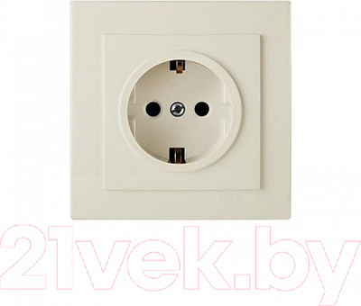 Розетка Элект RS16-133-Б