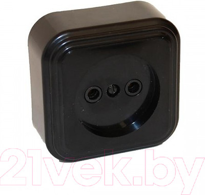 Розетка Элект RA16-131-Ч