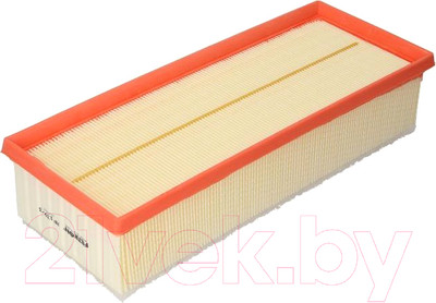 Воздушный фильтр Filtron AP139/3