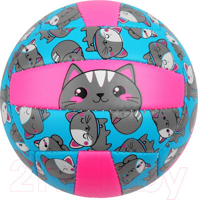 Мяч волейбольный Onlytop Кошечка / 4166907 (размер 2)