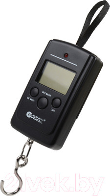 Безмен электронный Garin Точный Вес DS2 BL1 / БЛ17089