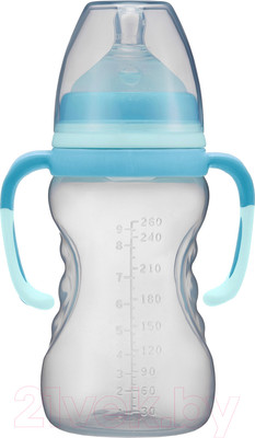Бутылочка для кормления Roxy-Kids Быстрый поток 6+ / RBTL-003 (260мл)