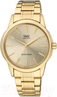 Часы наручные мужские Q&Q Q860J010Y