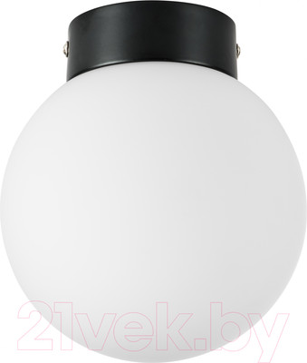 Потолочный светильник Lightstar Globo 812017 (MX8131-1B-S)