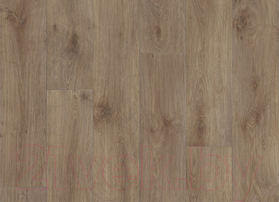 Линолеум Polystyl Space Santiago 1 (2x2м)