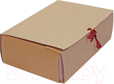 Папка для бумаг Деловые ресурсы Дело / ВП038