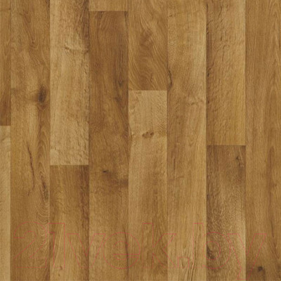 Линолеум Polystyl Space Gea 1 (3.5x1.5м)