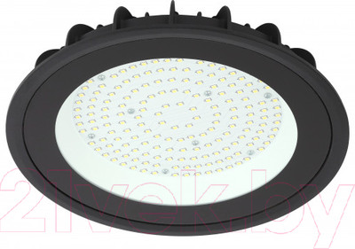 Светильник для подсобных помещений ЭРА SPP-402-0-40K-100 / Б0051844