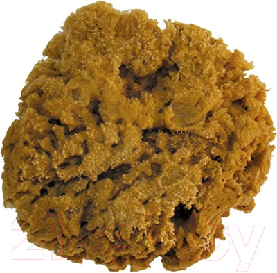 Губка для декоративной штукатурки УПРАВДОМ 02399-7 Натуральная