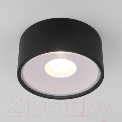 Светильник уличный Elektrostandard Light LED 2135 35141/H (черный)