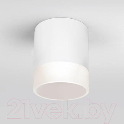 Светильник уличный Elektrostandard Light LED 2107 35140/H (белый)