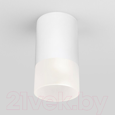Светильник уличный Elektrostandard Light 2106 35139/H (белый)