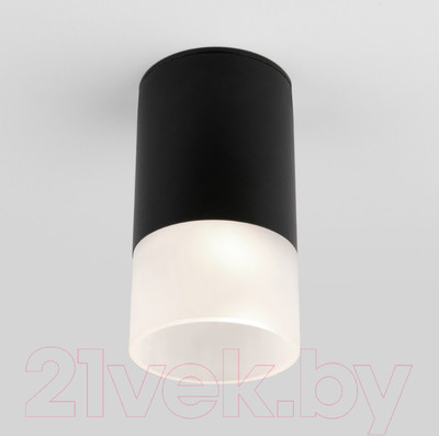 Светильник уличный Elektrostandard Light 2106 35139/H (черный)