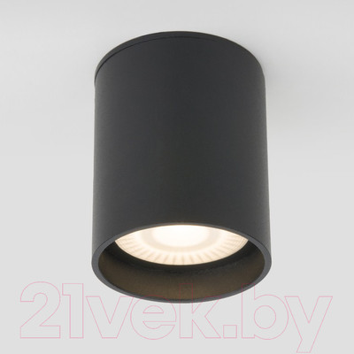 Светильник уличный Elektrostandard Light LED 2104 35130/H (черный)