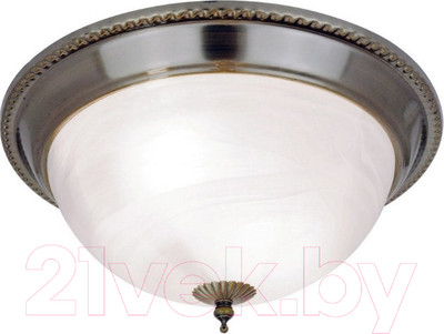 Потолочный светильник Arte Lamp Porch A1305PL-2AB