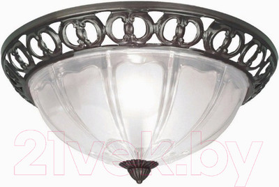 Потолочный светильник Arte Lamp A1306PL-2AB